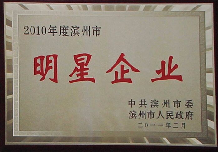 2010 Binzhou Star Enterprise