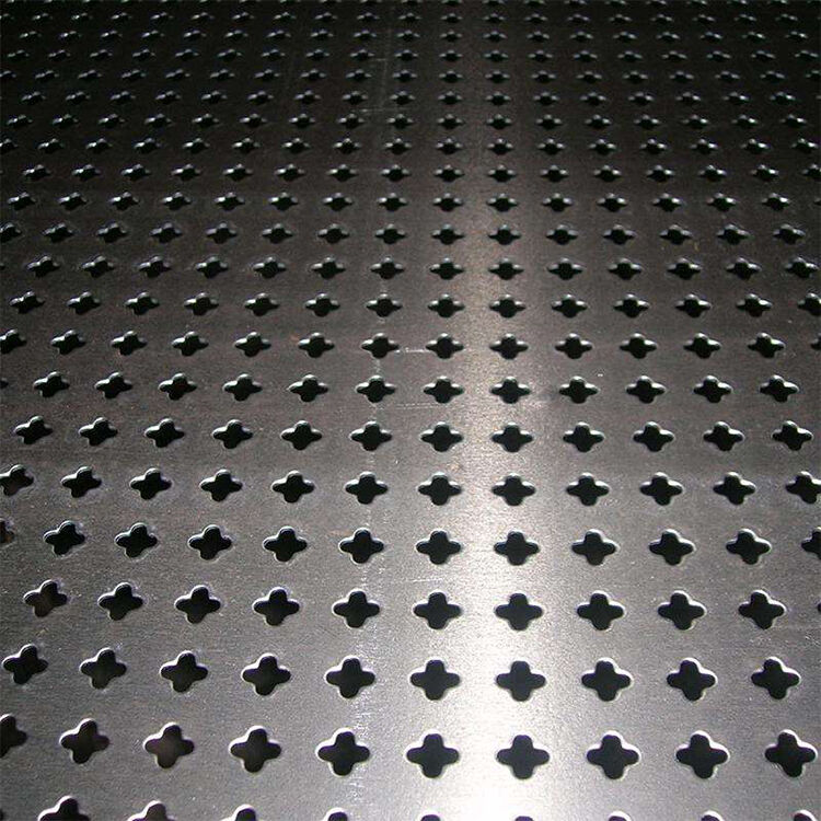 Stainless Steel Perforated