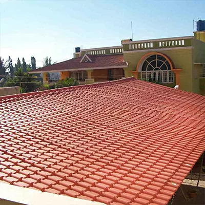 Painted roof panels