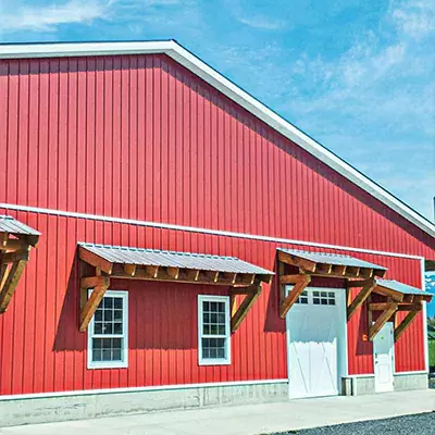 Painted roof panels
