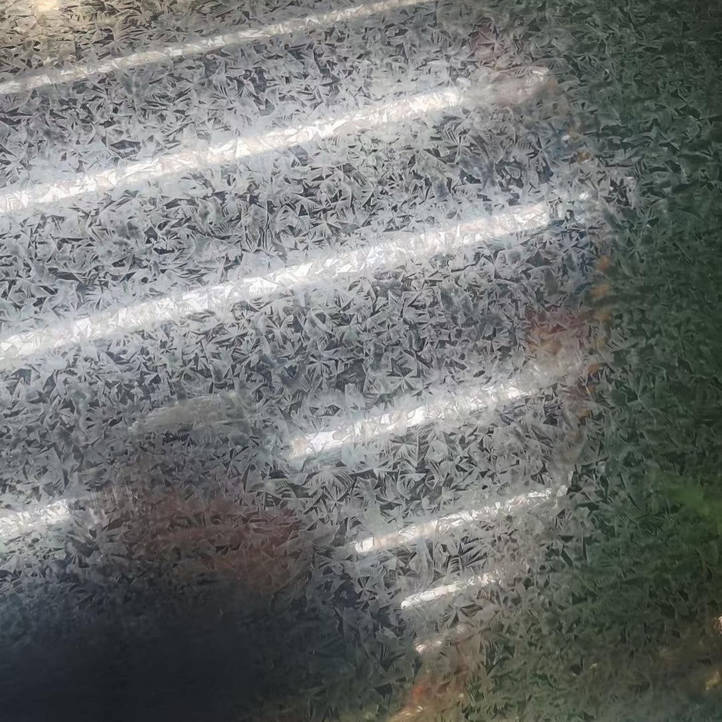 Galvanized Steel Coil