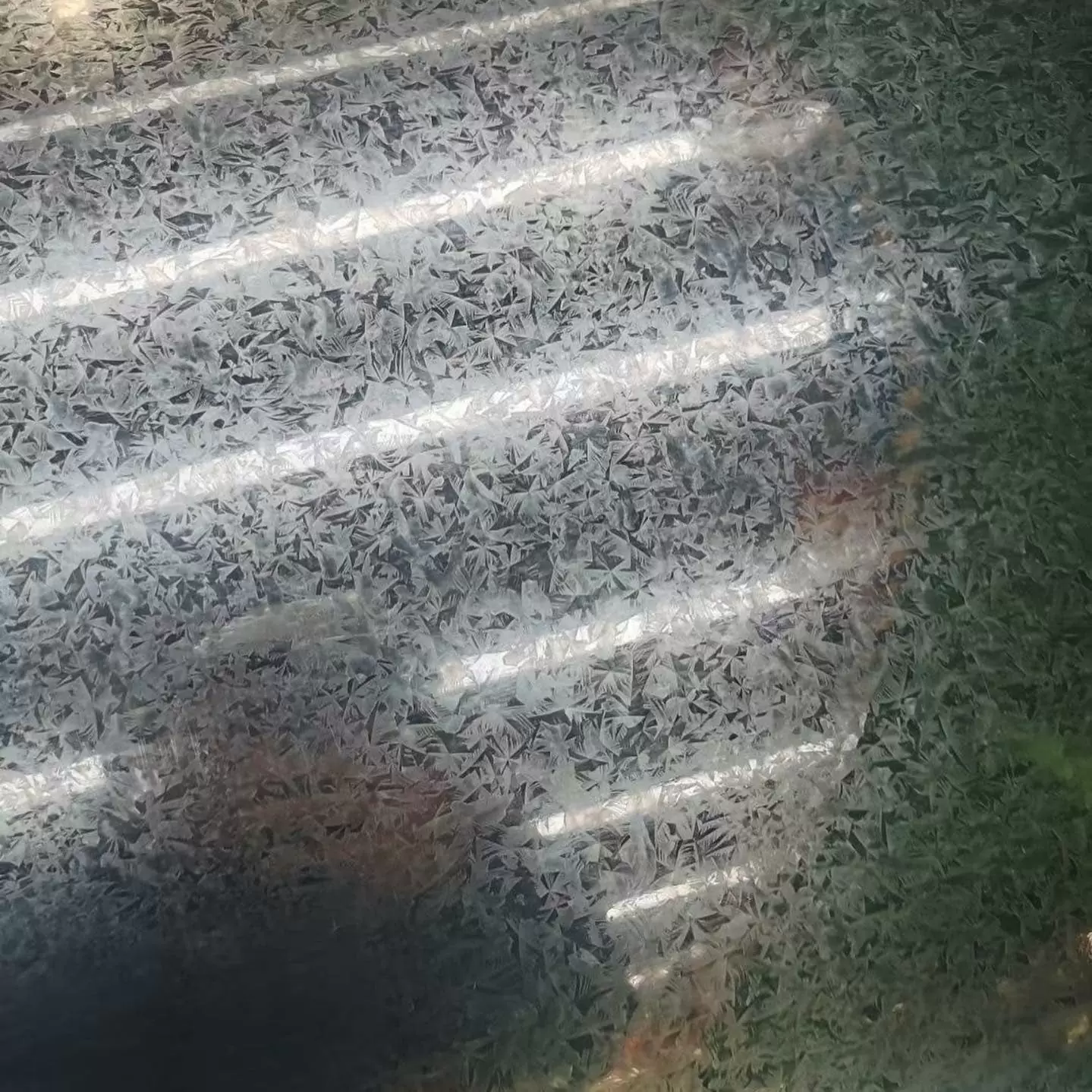 Galvanized Steel Coil