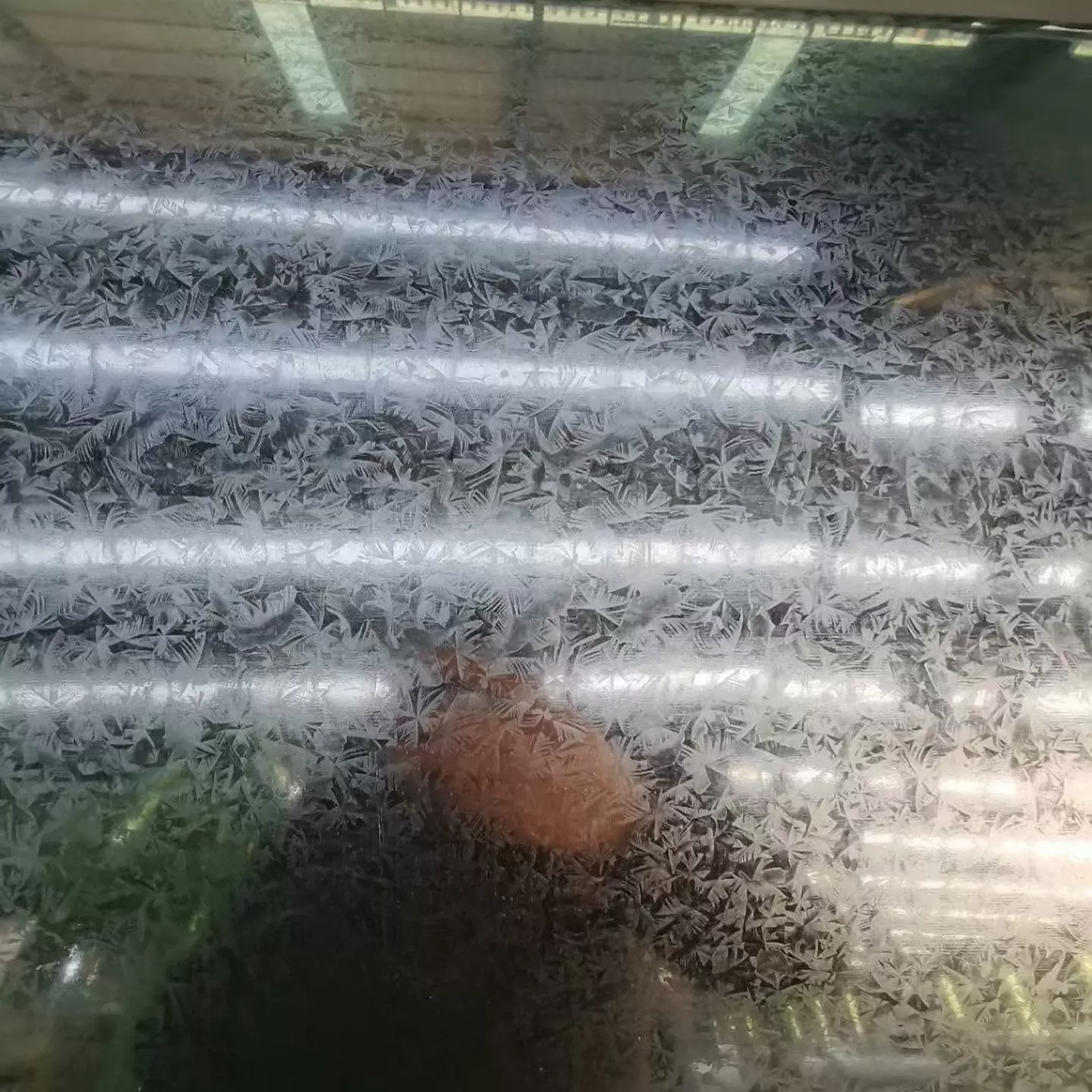 Galvanized Steel Coil