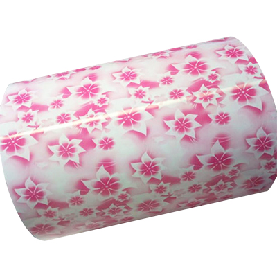 PPGI PPGL Carbon steel color coating 