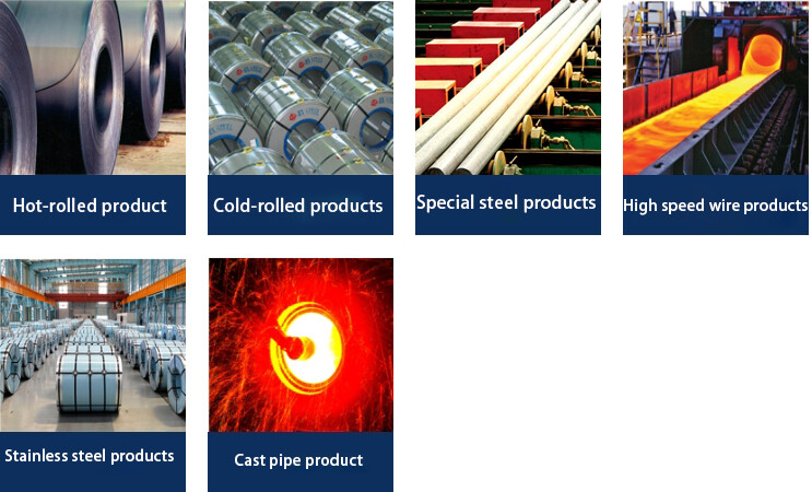 Company's Main Products