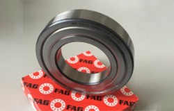 High-gloss Segmented Pad Sander (12)