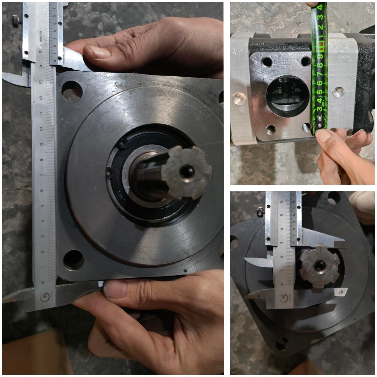 gear pump 2
