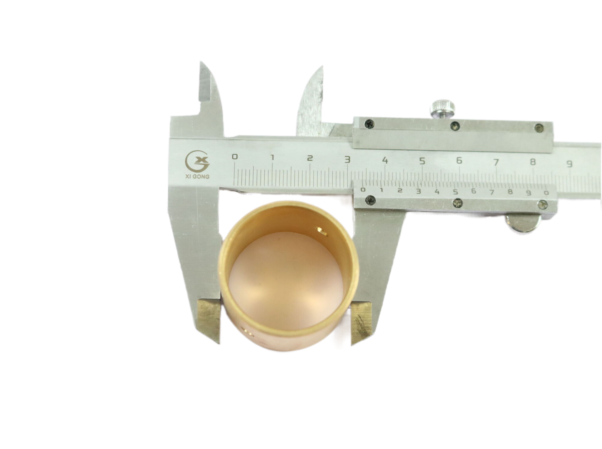 Dift. Spider Bush AZ9231320159