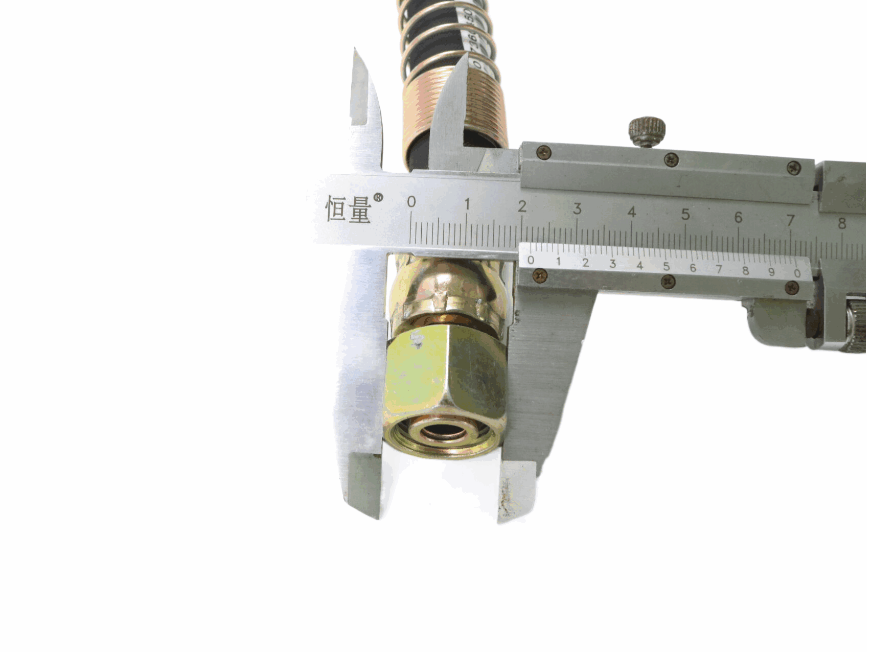 Brake Hose WG17017360450