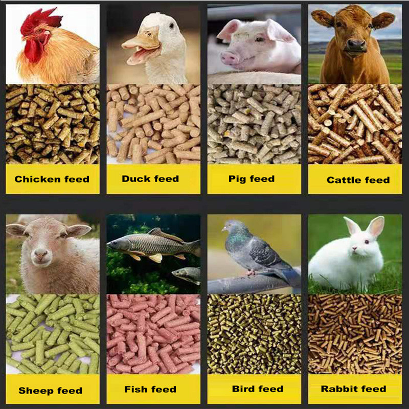 feed pellet machine (9).jpg