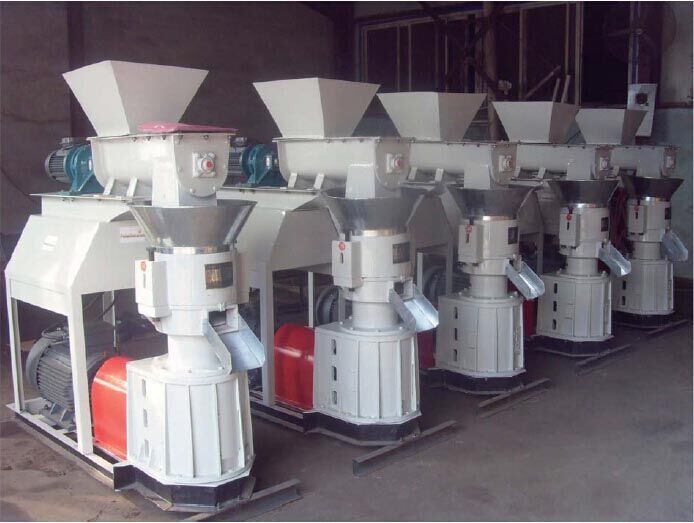 SKJ2-300 PELLET MACHINE.jpg