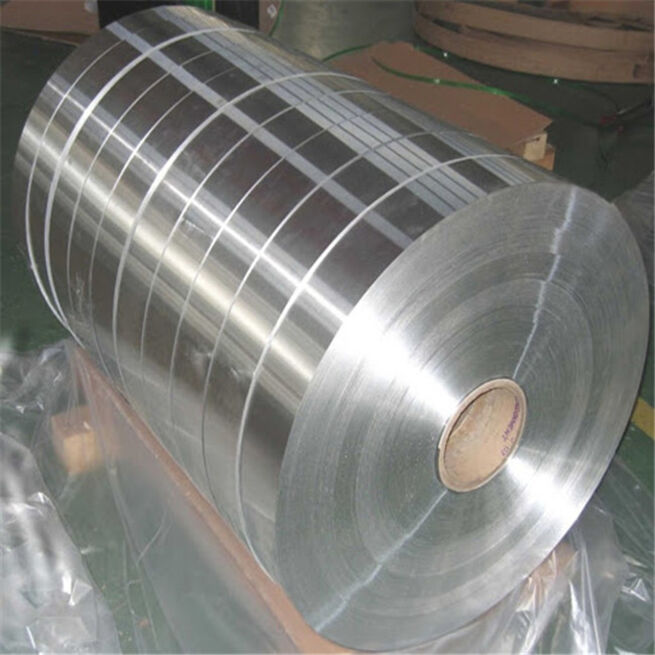 Stainless Steel Strip