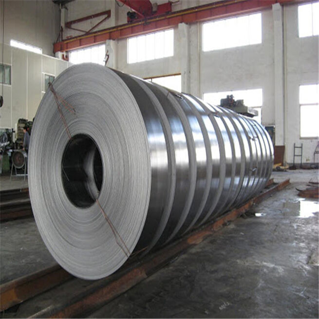 Stainless Steel Strip