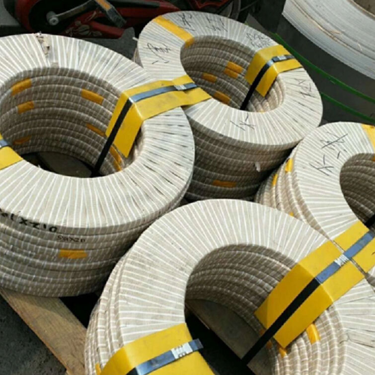Stainless Steel Strip