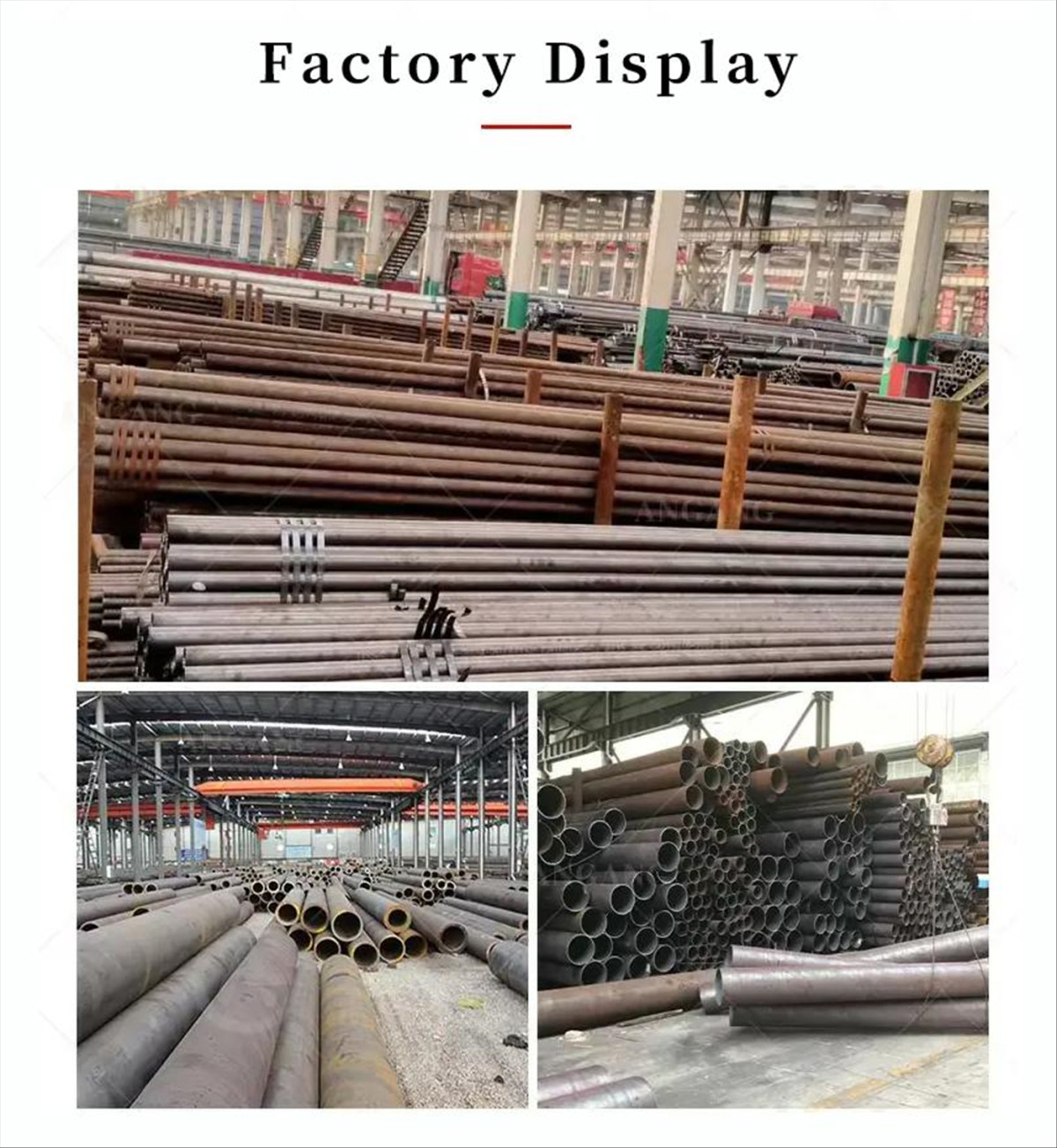 WUFENG (3)_已修改.jpg