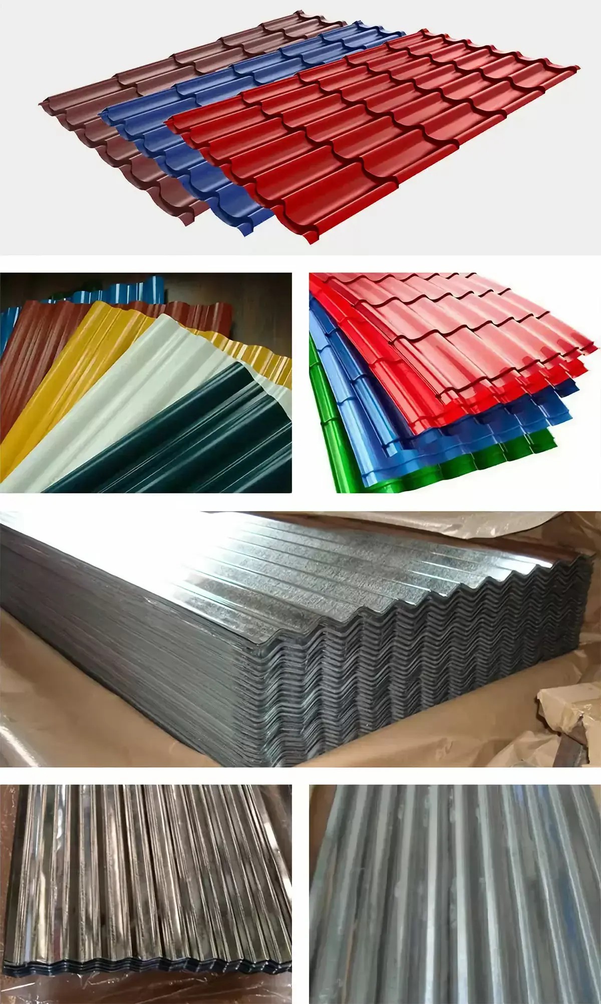 1694065912340.jpg 1694065912340.jpg