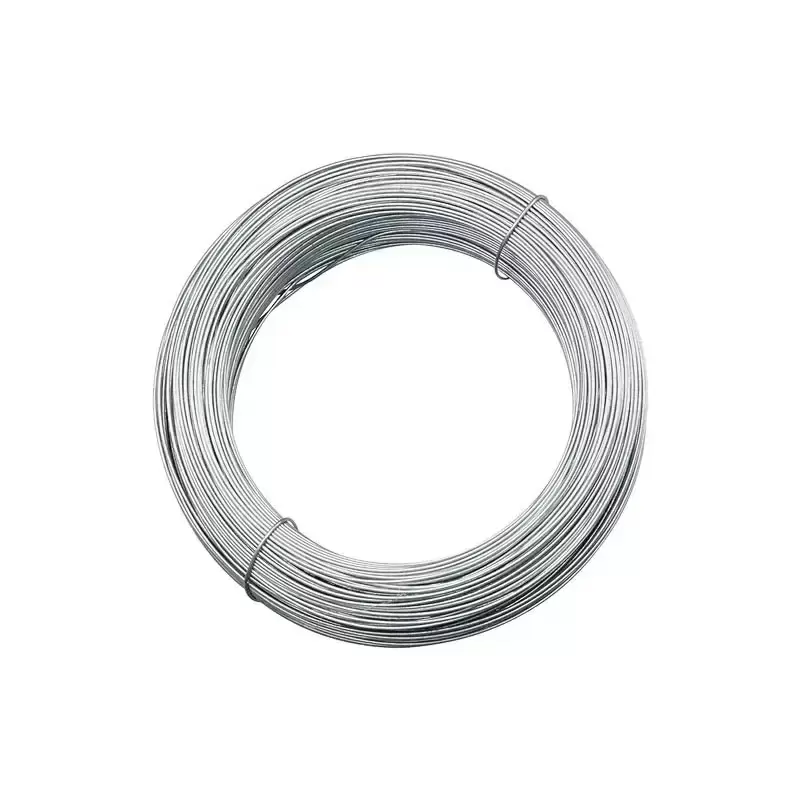 SAE1008 Galvanized Steel Wire