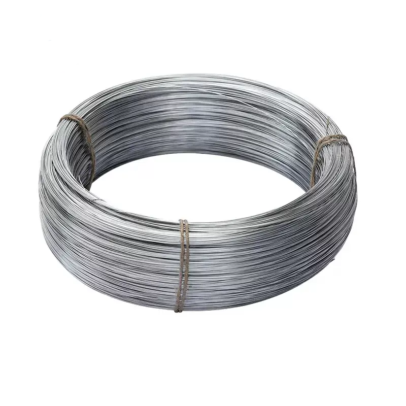 Q195 Galvanized Steel Wire