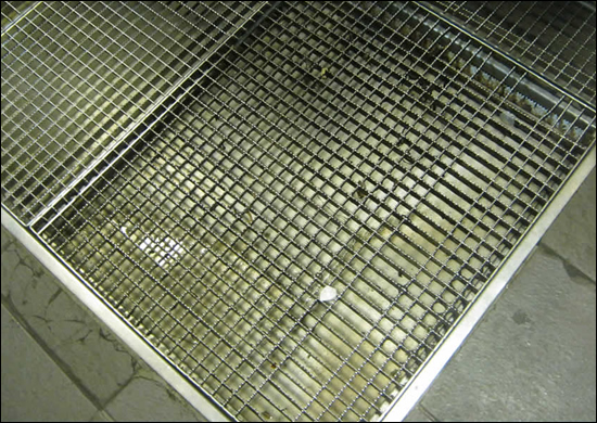 Stainless steel step grille
