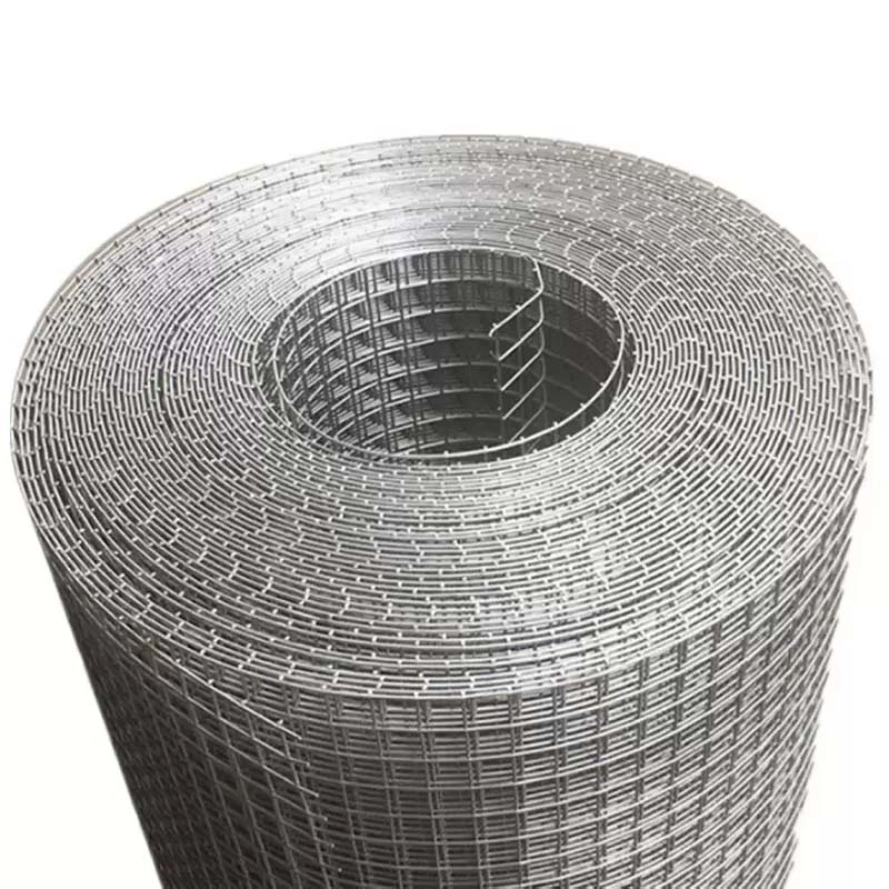 Galvanized Steel Wire Mesh