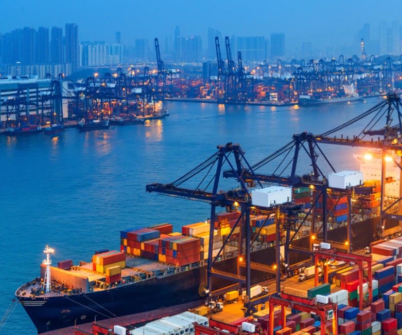 What is the role of international sea freight.png