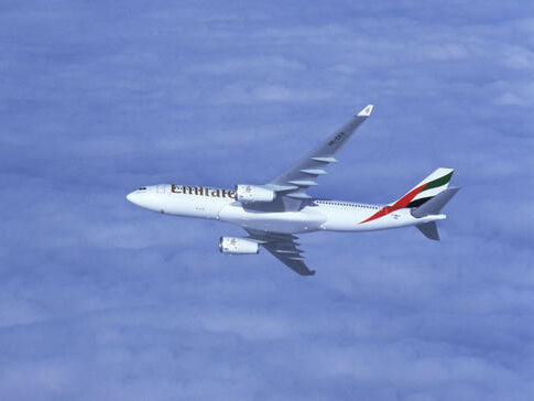 how to air freight of fish fry from china?