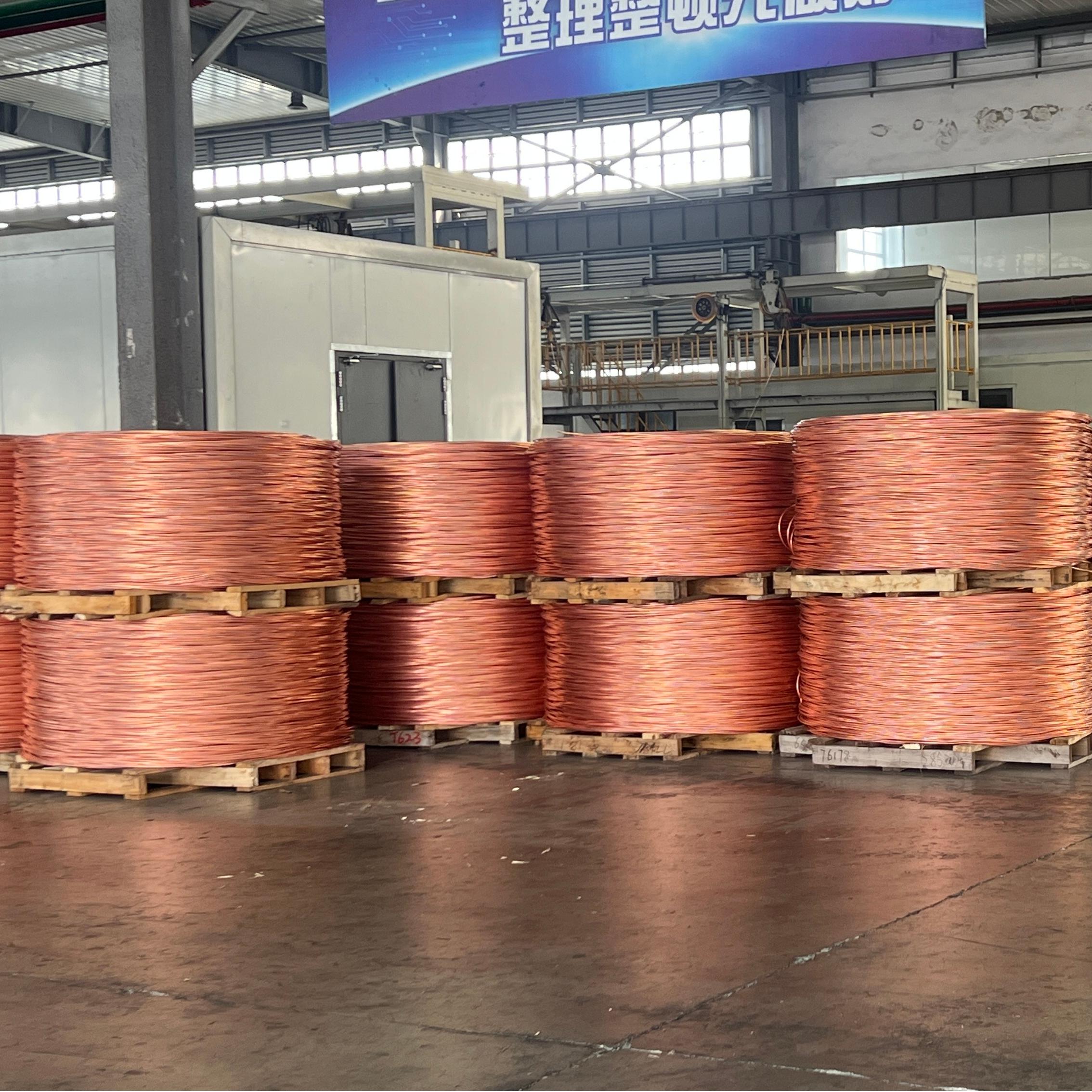 Copper Wire Rod