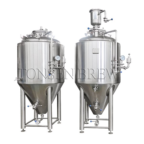 Why the Fermentation of Ales and Lagers Differs Greatly?