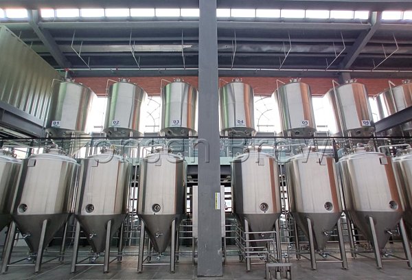 TSINGTAO Beer's craft beer Garden made by Tonsen~is ready to brew beer, are you ready for the Beer Festival in the Year of the Tiger?!