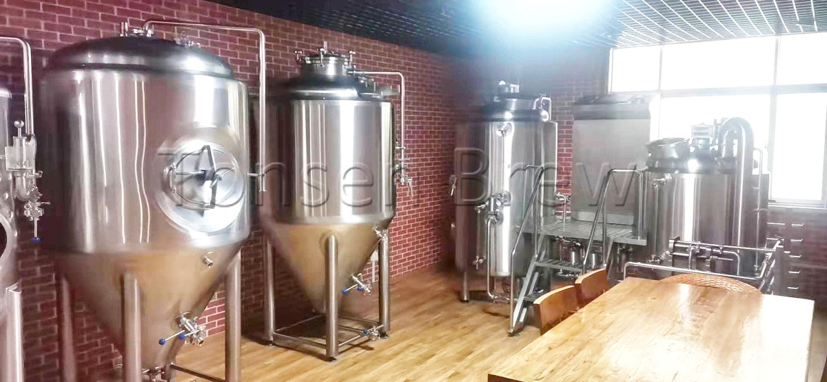 300l brewery (2)_exposure.jpg