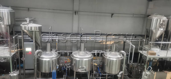 1000l 3 vessels Brewhouse placed in the middle, fermenters stacked on each side, Tonsen new 1000L beer equipment finished the installation, cheers!