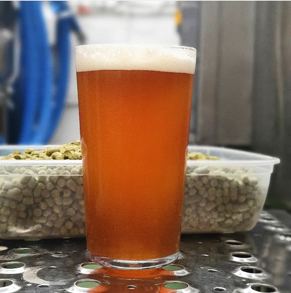 How to reduce the oxidation of beer?