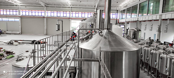 Comparing Stainless Steel vs. Copper in Beer Brewing Equipment