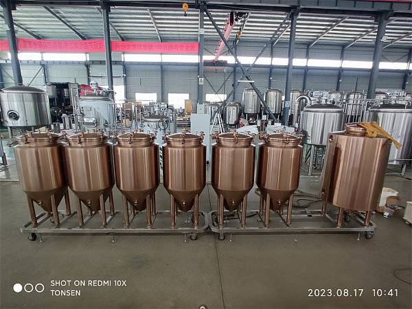 100l Micro Brewery Equipment by electroplating process. 