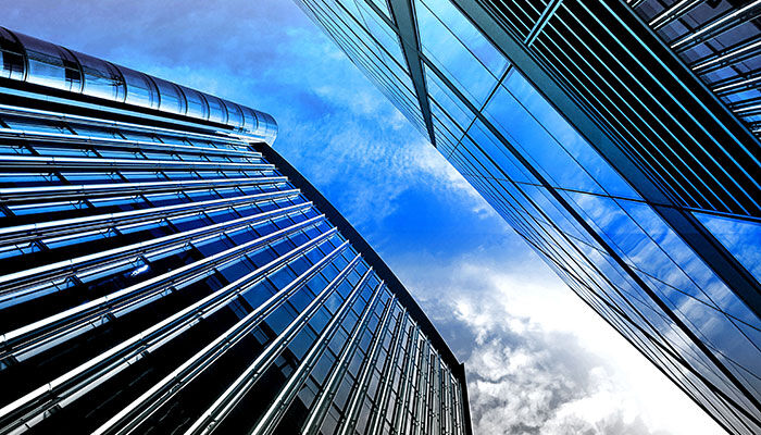 Our products include