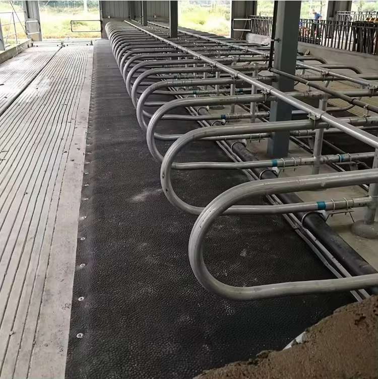 Why are cow and sheep mats essential for ranches? Dual guarantee of comfort and health