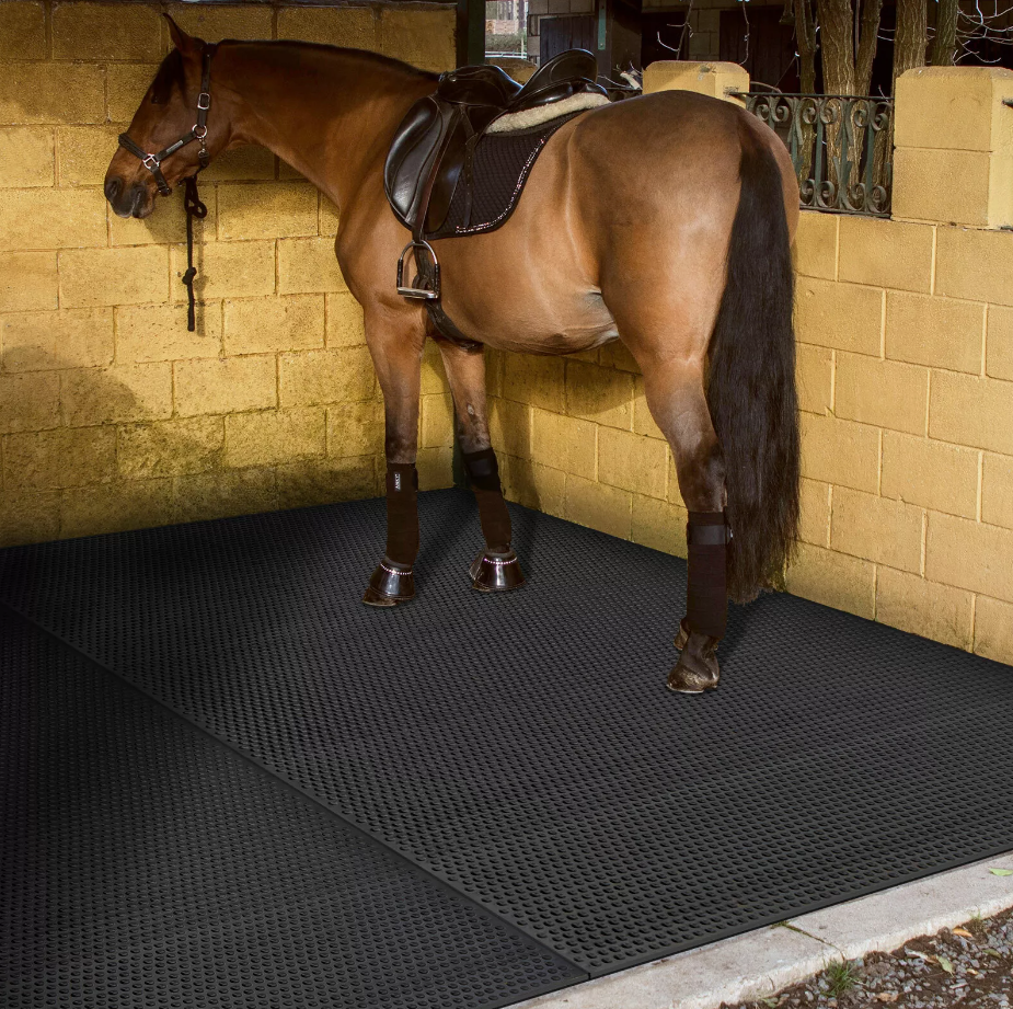 Rubber Horse Stall Mat (6ft x 4ft) Bubble Top