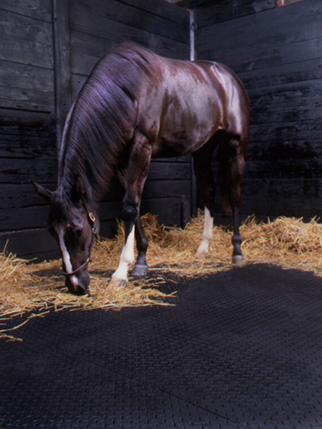 High-Performance Cattle and Sheep Mat