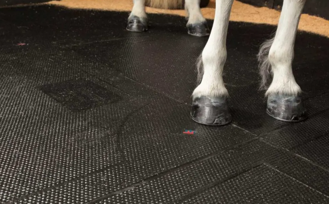 The Importance of Choosing Horse Stall Mats: Ensuring a Healthier Life for Your Horses
