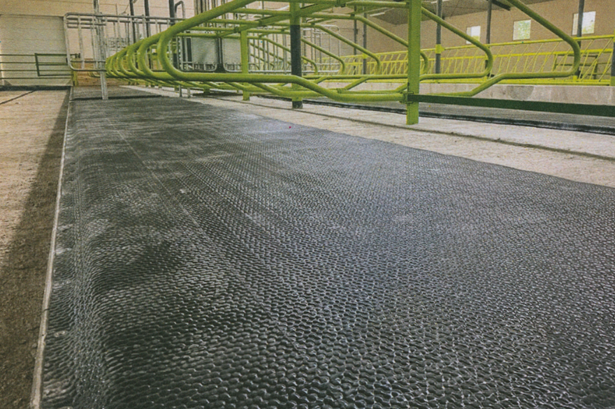 How to Choose Cattle and Sheep Mat Products