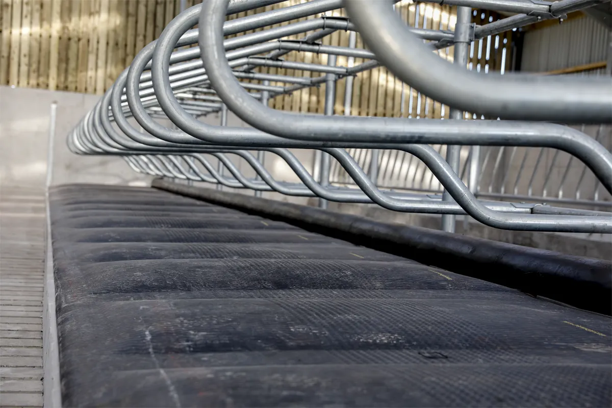 The Ideal Choice for Cattle and Sheep Mats: Enhancing Comfort and Health in Your Livestock Environment