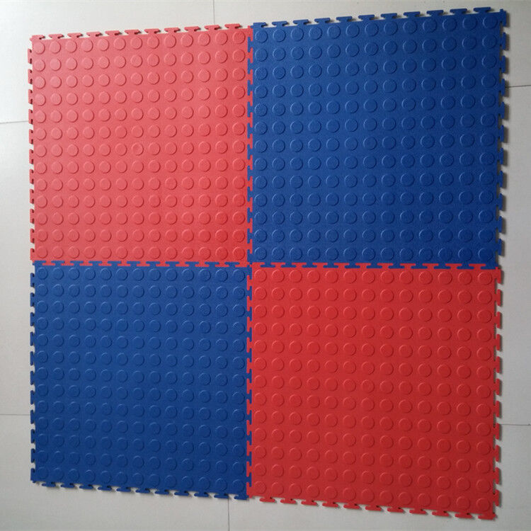 Raised Coin Design Visible 460mm