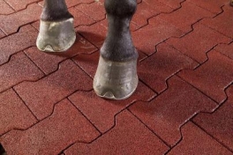 Rubber Stable Mats: Comfort, Safety, and Modern Equine Care