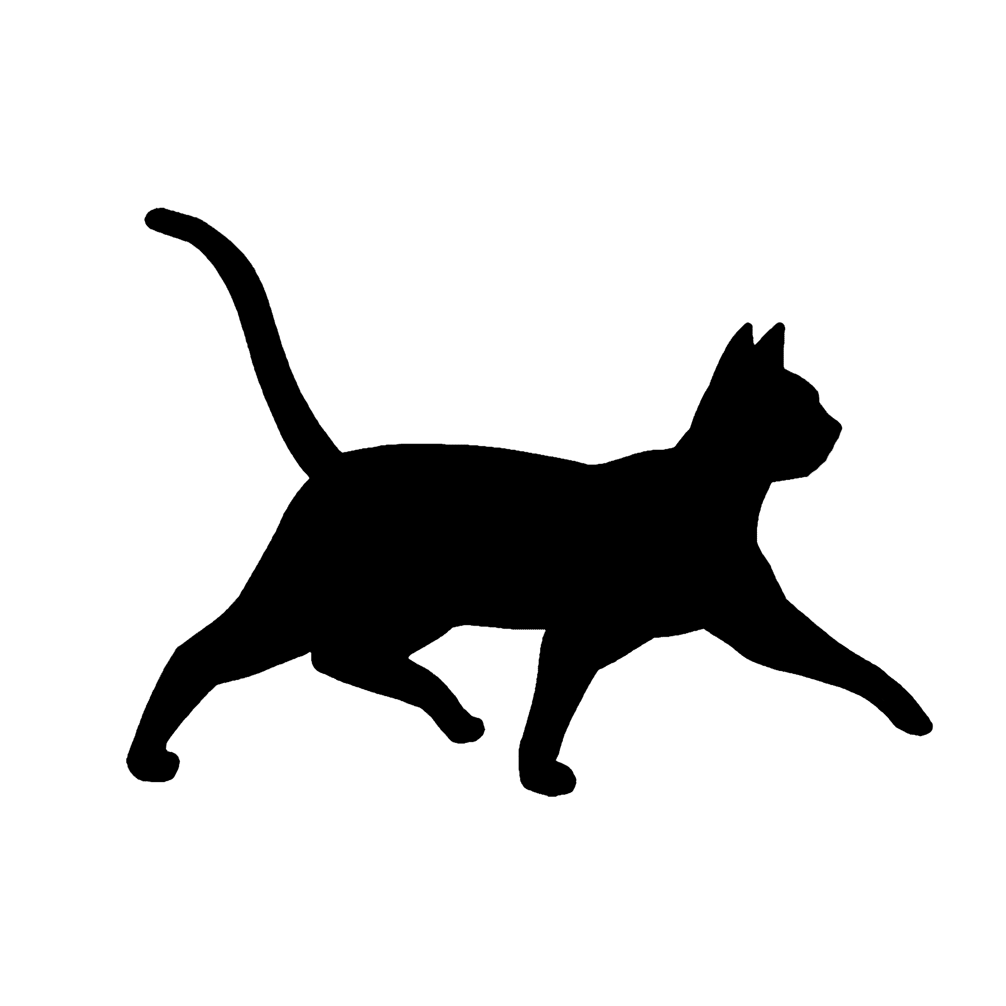 千库网_行走的猫黑色剪影走路走动物_GIF编号81325.gif