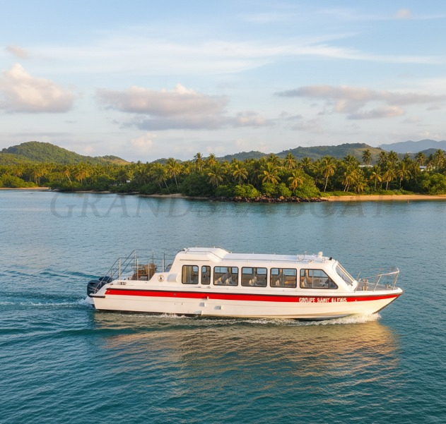 Grandsea 11.8m 30 Persons Fiberglass Speed Passenger Boats with Outboard Engines for Sale