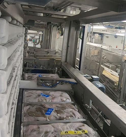 Commercial Fishing Boat Freezing Systems: Solutions for Longline Fishing Boat and Purse Seine Fishing Boat