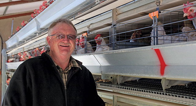 A poultry farm collocation refers to the physical location and layout of various facilities and infrastructure within a poultry farm