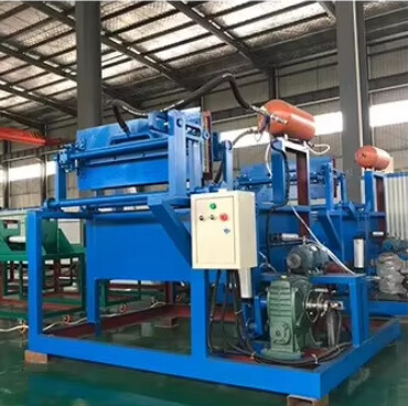 800-1000 pieces egg tray making machine. It is ideal for small to medium-scale businesses or farms that require a steady supply