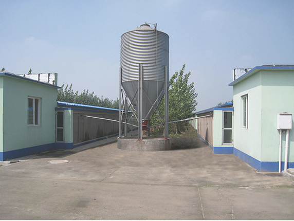 The definition of in chicken farm proper storage and transport of poultry feed are essential to maintain its quality and nutritional value