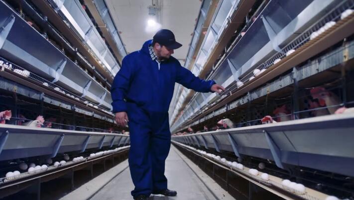 AI controlling system of 7 tier system allows for high-density housing and is also integrated to ensure optimal living conditions for the hens